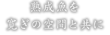 熟成魚を寛ぎの空間と共に