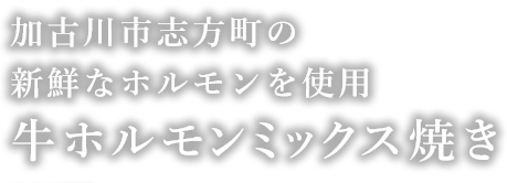 牛ホルモンミックス焼き