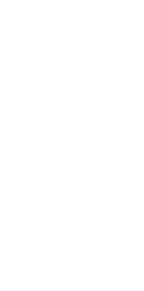 まぐろ節の出汁