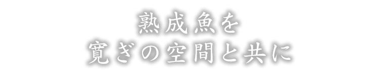 熟成魚を寛ぎの空間と共に