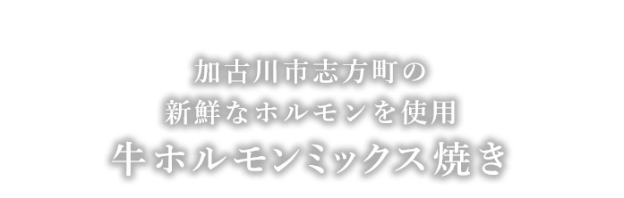 牛ホルモンミックス焼き